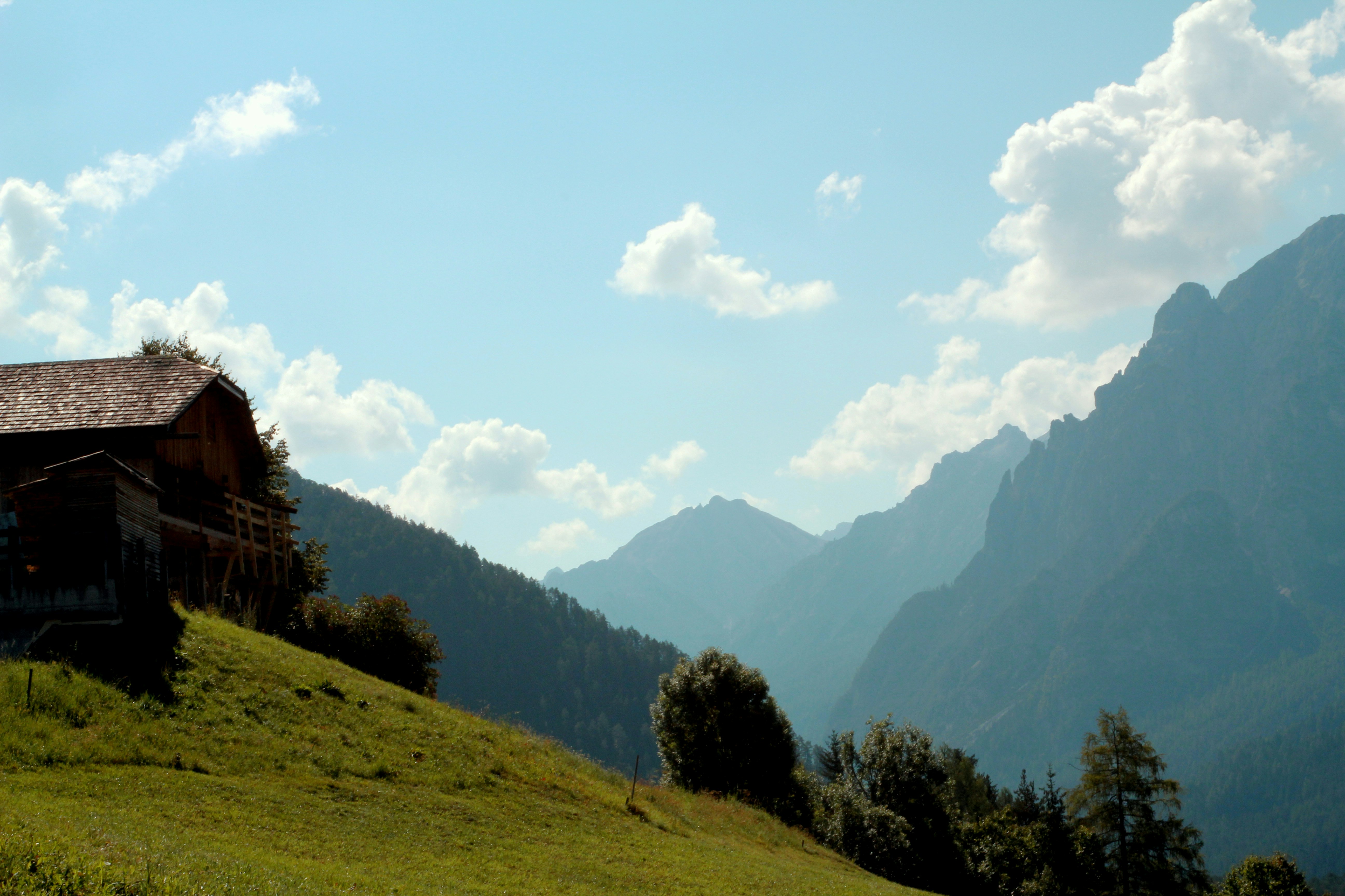 green grass field and trees under white clouds and blue sky during daytime